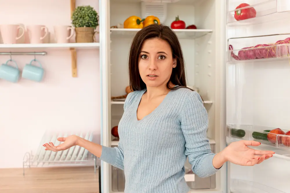 Troubleshooting Common Refrigerator Issues